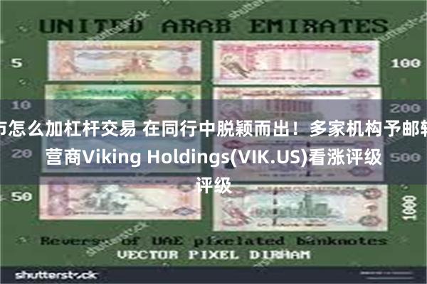 股市怎么加杠杆交易 在同行中脱颖而出！多家机构予邮轮运营商Viking Holdings(VIK.US)看涨评级