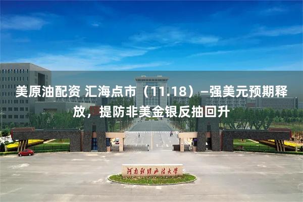 美原油配资 汇海点市（11.18）—强美元预期释放，提防非美金银反抽回升