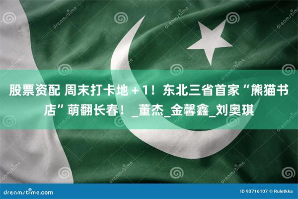 股票资配 周末打卡地＋1！东北三省首家“熊猫书店”萌翻长春！_董杰_金馨鑫_刘奥琪