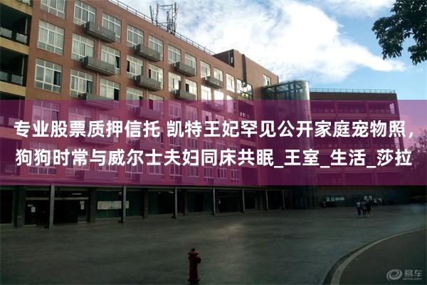 专业股票质押信托 凯特王妃罕见公开家庭宠物照，狗狗时常与威尔士夫妇同床共眠_王室_生活_莎拉