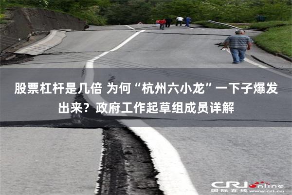 股票杠杆是几倍 为何“杭州六小龙”一下子爆发出来？政府工作起草组成员详解