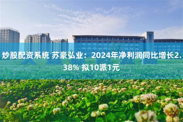 炒股配资系统 苏豪弘业：2024年净利润同比增长2.38% 拟10派1元