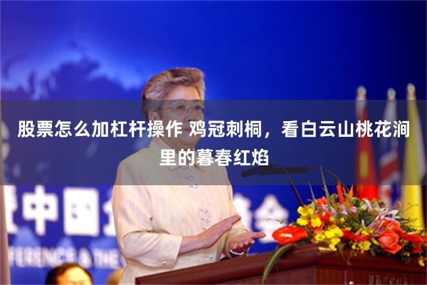 股票怎么加杠杆操作 鸡冠刺桐，看白云山桃花涧里的暮春红焰