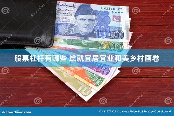 股票杠杆有哪些 绘就宜居宜业和美乡村画卷