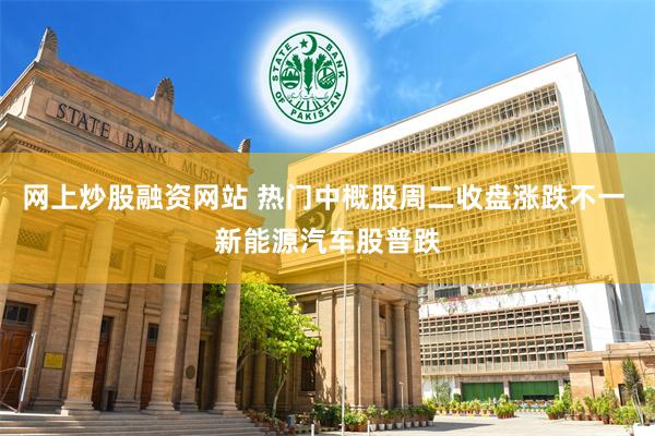 网上炒股融资网站 热门中概股周二收盘涨跌不一 新能源汽车股普跌