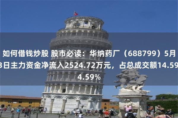 如何借钱炒股 股市必读：华纳药厂（688799）5月13日主力资金净流入2524.72万元，占总成交额14.59%