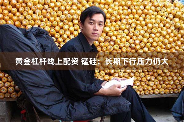 黄金杠杆线上配资 锰硅：长期下行压力仍大