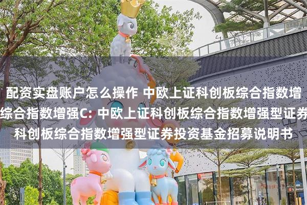 配资实盘账户怎么操作 中欧上证科创板综合指数增强A,中欧上证科创板综合指数增强C: 中欧上证科创板综合指数增强型证券投资基金招募说明书