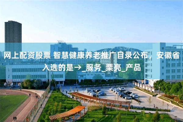 网上配资股票 智慧健康养老推广目录公布，安徽省入选的是→_服务_栗亮_产品