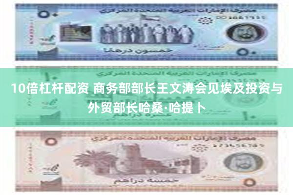 10倍杠杆配资 商务部部长王文涛会见埃及投资与外贸部长哈桑·哈提卜