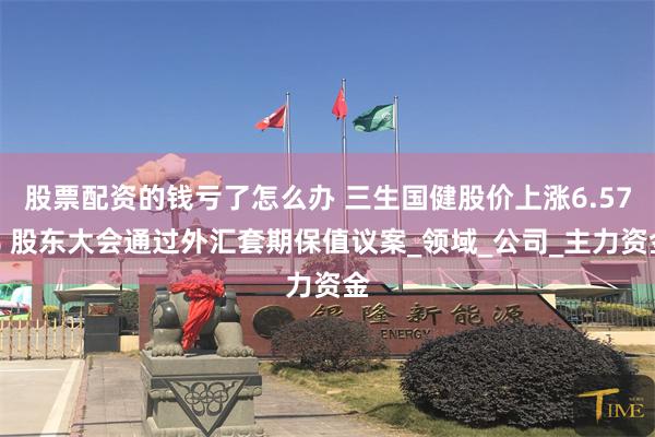 股票配资的钱亏了怎么办 三生国健股价上涨6.57% 股东大会通过外汇套期保值议案_领域_公司_主力资金