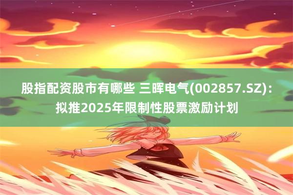 股指配资股市有哪些 三晖电气(002857.SZ)：拟推2025年限制性股票激励计划