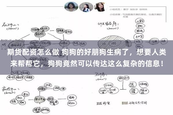 期货配资怎么做 狗狗的好朋狗生病了，想要人类来帮帮它，狗狗竟然可以传达这么复杂的信息！